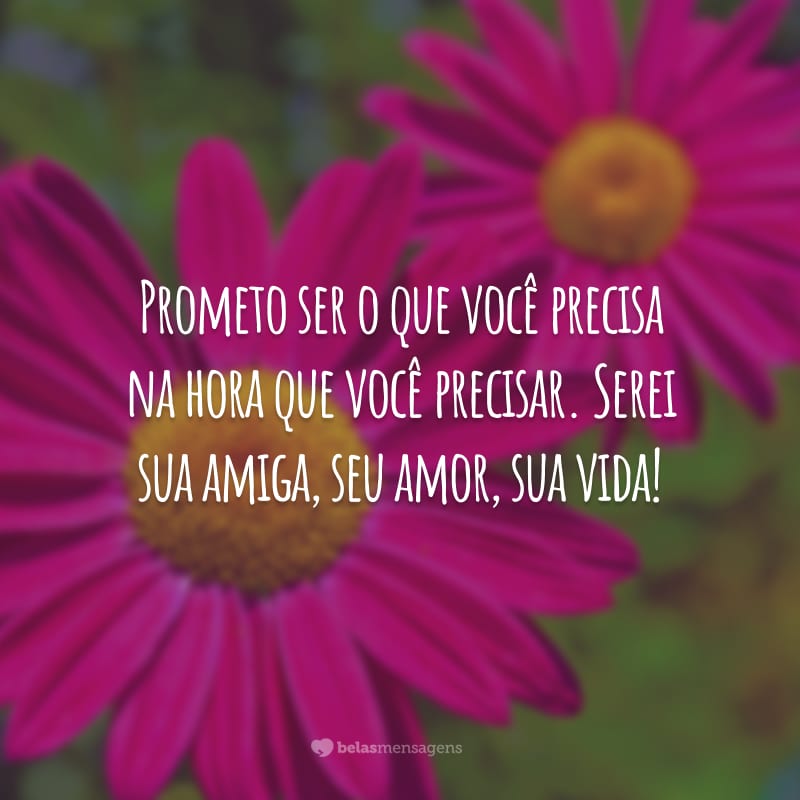 Prometo ser o que você precisa na hora que você precisar. Serei sua amiga, seu amor, sua vida!