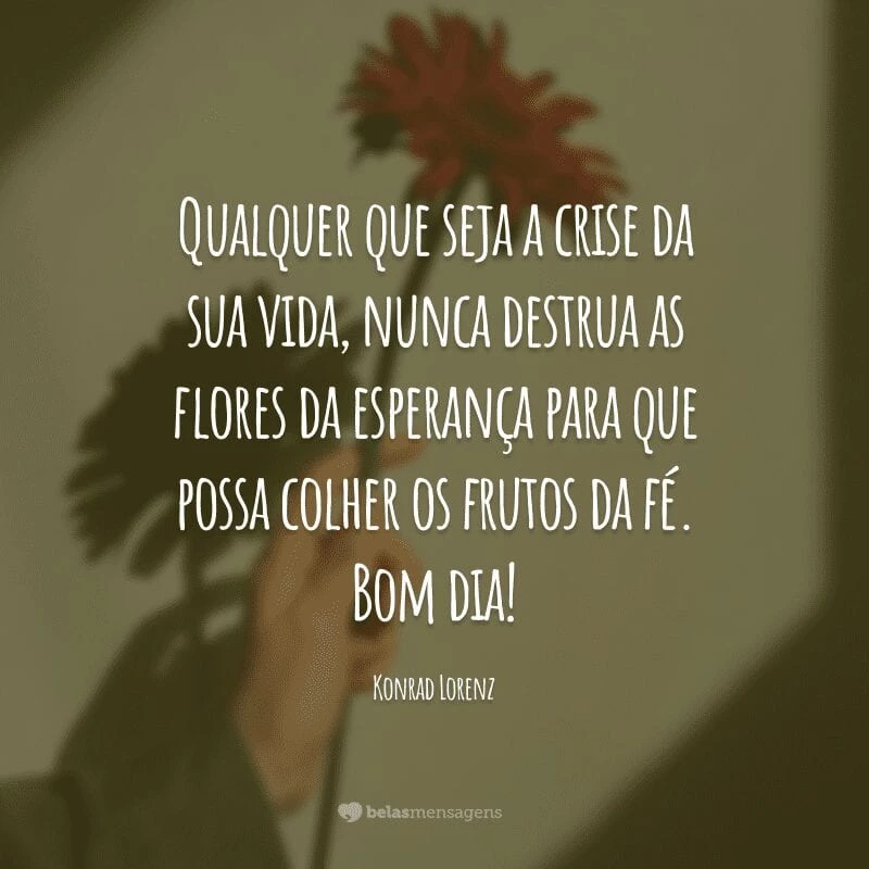 Qualquer que seja a crise da sua vida, nunca destrua as flores da esperança para que possa colher os frutos da fé. Bom dia!