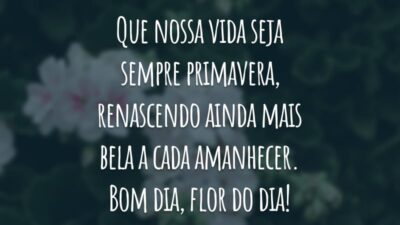 Que nossa vida seja sempre primavera, renascendo ainda mais bela a cada amanhecer. Bom dia, flor do dia!