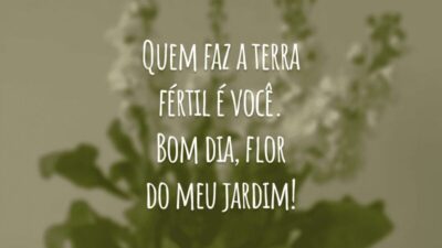 Quem faz a terra fértil é você. Bom dia, flor do meu jardim!