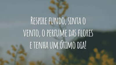 Respire fundo, sinta o vento, o perfume das flores e tenha um ótimo dia!