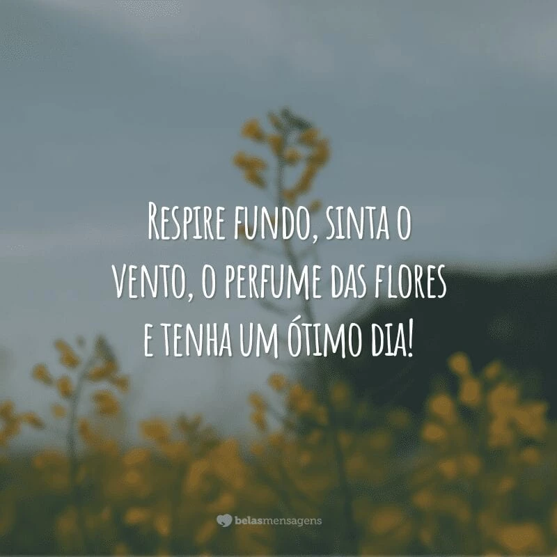 Respire fundo, sinta o vento, o perfume das flores e tenha um ótimo dia!