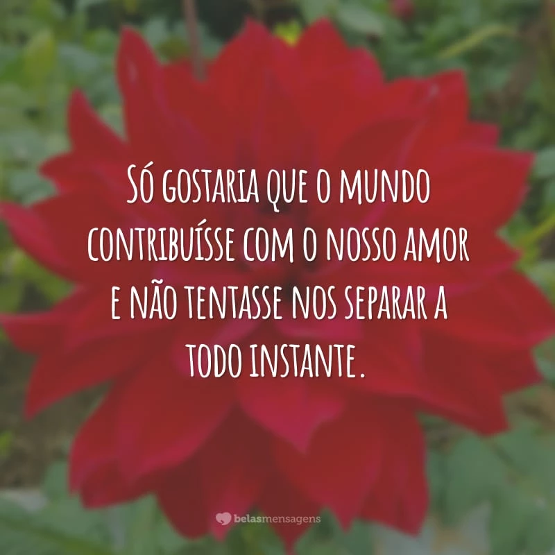 Só gostaria que o mundo contribuísse com o nosso amor e não tentasse nos separar a todo instante.