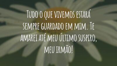 Tudo o que vivemos estará sempre guardado em mim. Te amarei até meu último suspiro, meu irmão!