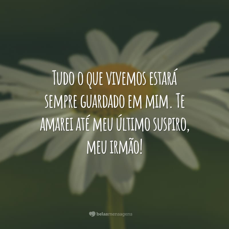 Tudo o que vivemos estará sempre guardado em mim. Te amarei até meu último suspiro, meu irmão!