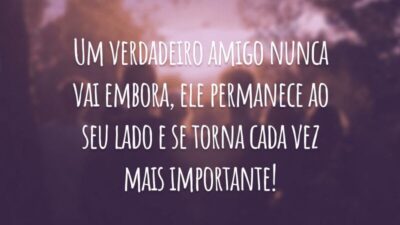 Um verdadeiro amigo nunca vai embora, ele permanece ao seu lado e se torna cada vez mais importante!