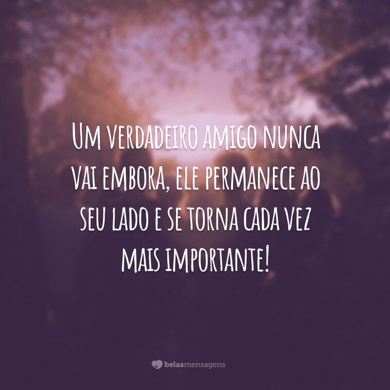 Um verdadeiro amigo nunca vai embora, ele permanece ao seu lado e se torna cada vez mais importante!