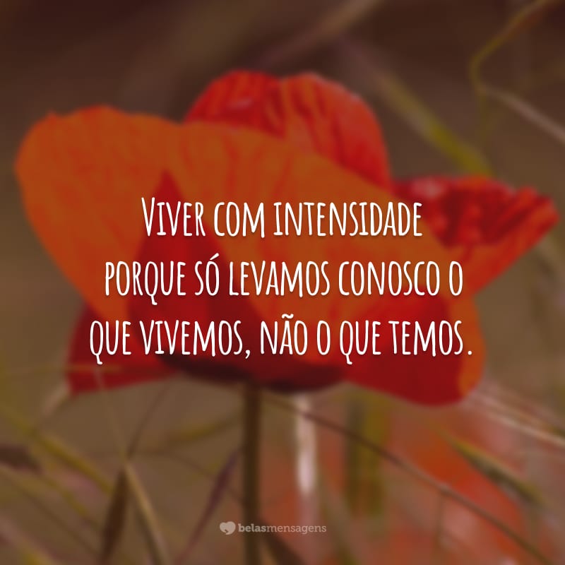 Viver com intensidade porque só levamos conosco o que vivemos, não o que temos.