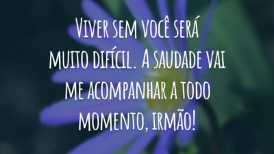 Viver sem você será muito difícil. A saudade vai me acompanhar a todo momento, irmão!