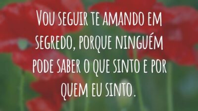 Vou seguir te amando em segredo, porque ninguém pode saber o que sinto e por quem eu sinto.