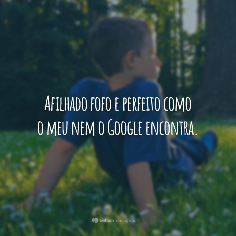 Afilhado fofo e perfeito como o meu nem o Google encontra.