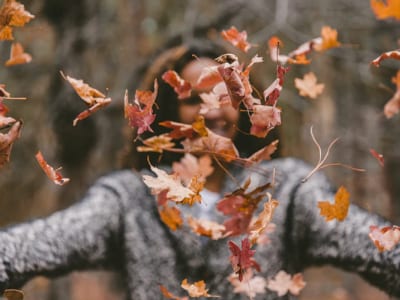 40 frases de bem-vindo, outono, que recebem esse ciclo com amor