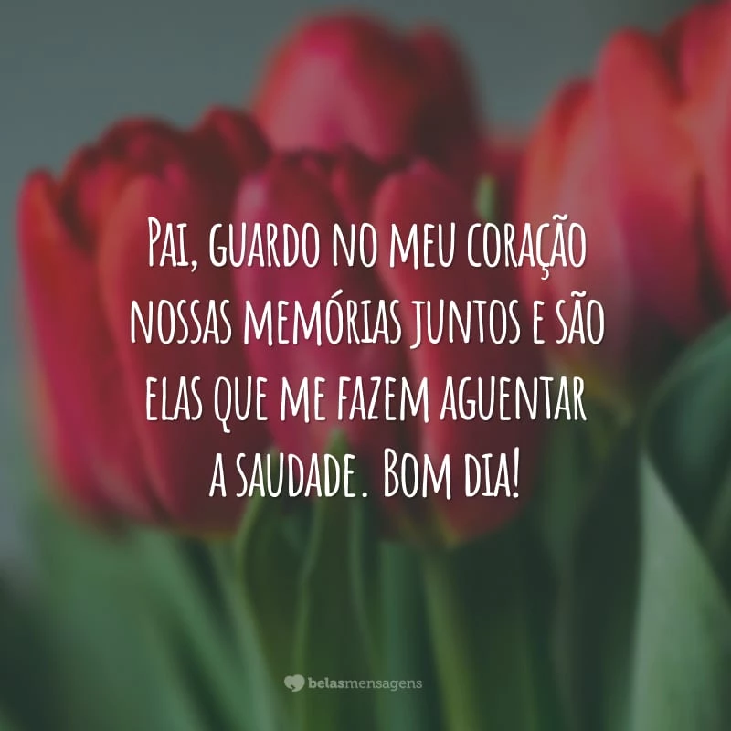 Pai, guardo no meu coração nossas memórias juntos e são elas que me fazem aguentar a saudade. Bom dia!