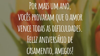 Por mais um ano, vocês provaram que o amor vence todas as dificuldades. Feliz aniversário de casamento, amigos!