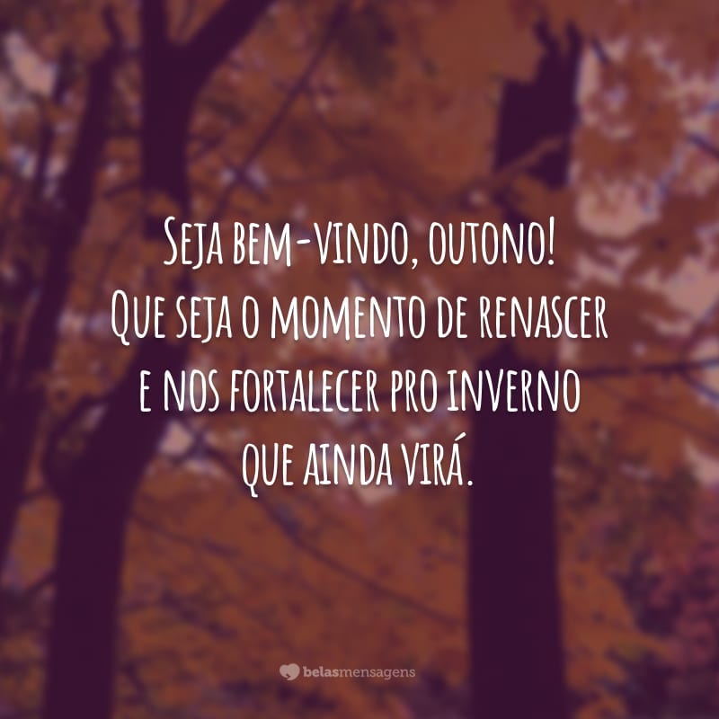 Seja bem-vindo, outono! Que seja o momento de renascer e nos fortalecer pro inverno que ainda virá.