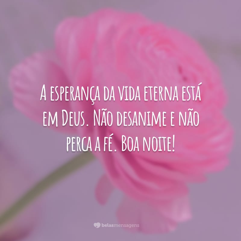 A esperança da vida eterna está em Deus. Não desanime e não perca a fé. Boa noite!