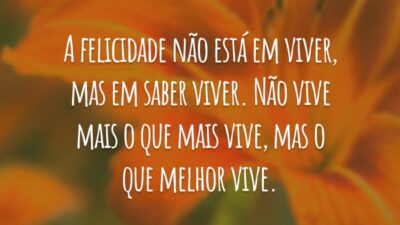A felicidade não está em viver, mas em saber viver. Não vive mais o que mais vive, mas o que melhor vive.