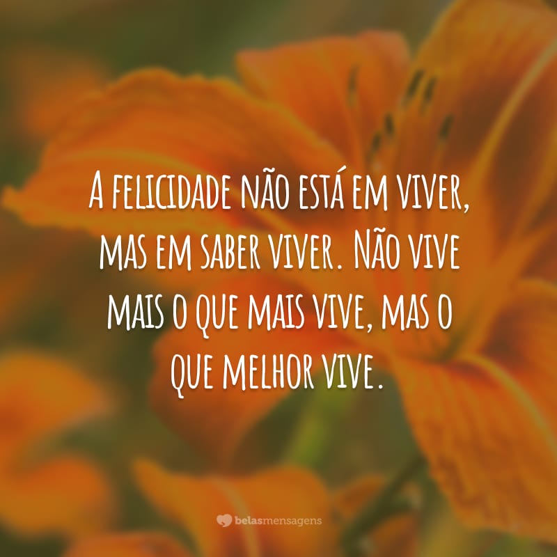 A felicidade não está em viver, mas em saber viver. Não vive mais o que mais vive, mas o que melhor vive.