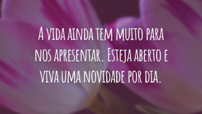 A vida ainda tem muito para nos apresentar. Esteja aberto e viva uma novidade por dia.