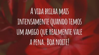 A vida brilha mais intensamente quando temos um amigo que realmente vale a pena. Boa noite!