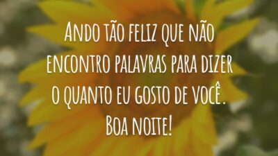 Ando tão feliz que não encontro palavras para dizer o quanto eu gosto de você. Boa noite!