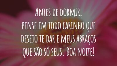 Antes de dormir, pense em todo carinho que desejo te dar e meus abraços que são só seus. Boa noite!