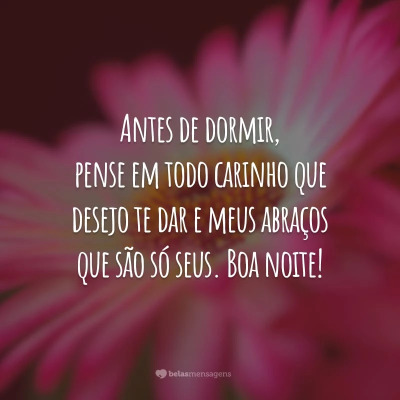 Antes de dormir, pense em todo carinho que desejo te dar e meus abraços que são só seus. Boa noite!