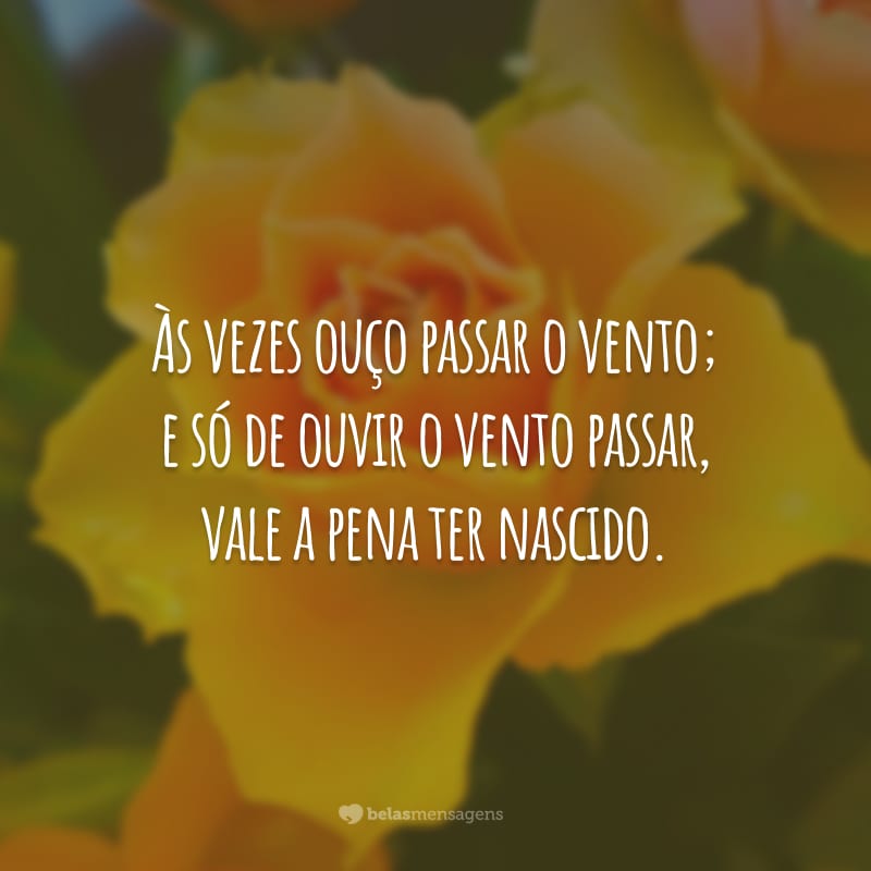 Às vezes ouço passar o vento; e só de ouvir o vento passar, vale a pena ter nascido.