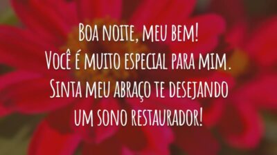 Boa noite, meu bem! Você é muito especial para mim. Sinta meu abraço te desejando um sono restaurador!
