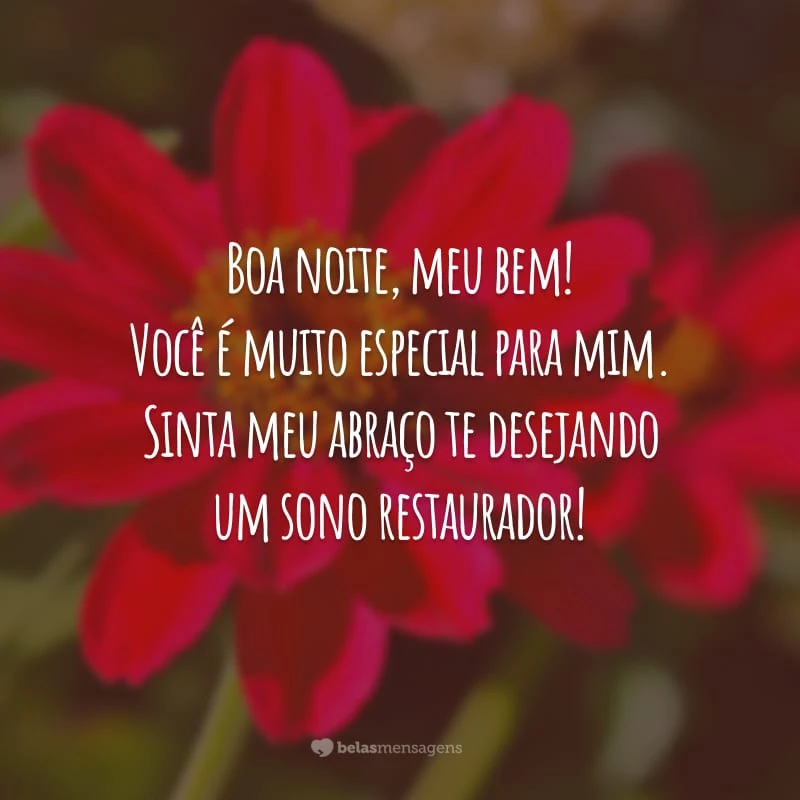 Boa noite, meu bem! Você é muito especial para mim. Sinta meu abraço te desejando um sono restaurador!