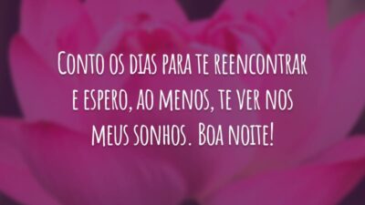 Conto os dias para te reencontrar e espero, ao menos, te ver nos meus sonhos. Boa noite!