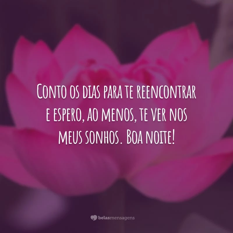 Conto os dias para te reencontrar e espero, ao menos, te ver nos meus sonhos. Boa noite!