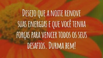 Desejo que a noite renove suas energias e que você tenha forças para vencer todos os seus desafios. Durma bem!