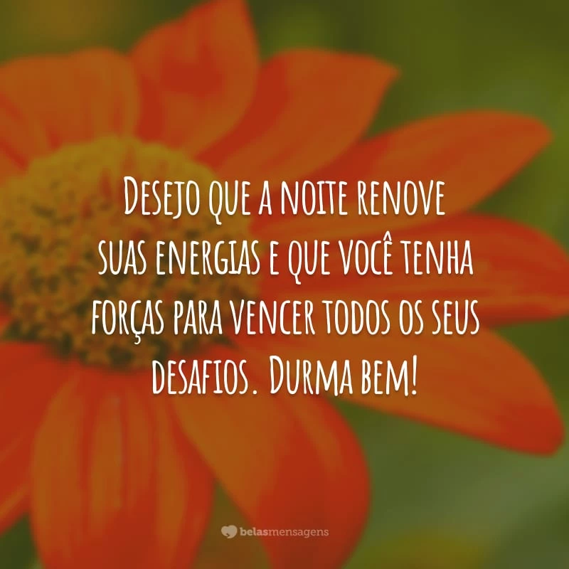 Desejo que a noite renove suas energias e que você tenha forças para vencer todos os seus desafios. Durma bem!