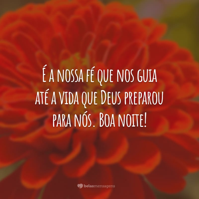 É a nossa fé que nos guia até a vida que Deus preparou para nós. Boa noite!