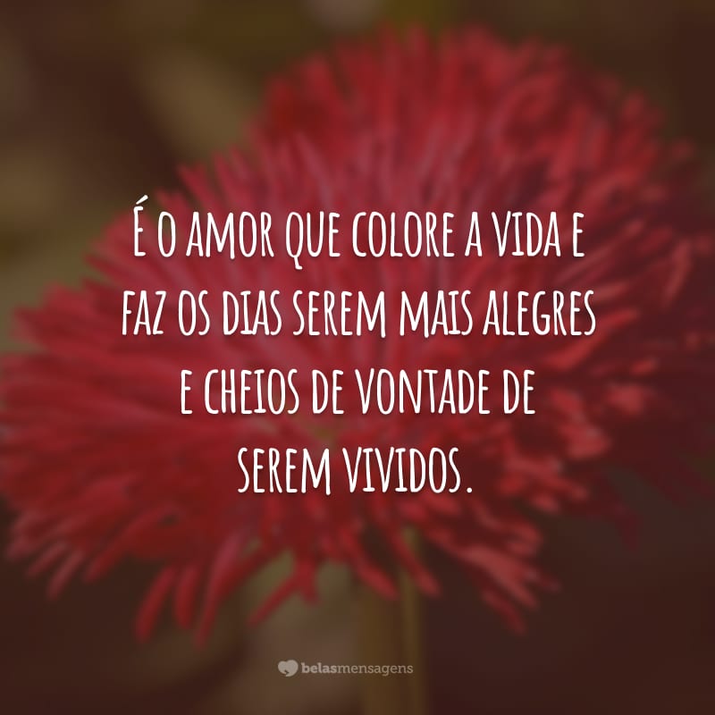 É o amor que colore a vida e faz os dias serem mais alegres e cheios de vontade de serem vividos.