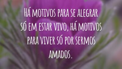 Há motivos para se alegrar só em estar vivo, há motivos para viver só por sermos amados.