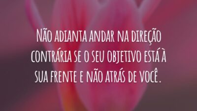 Não adianta andar na direção contrária se o seu objetivo está à sua frente e não atrás de você.