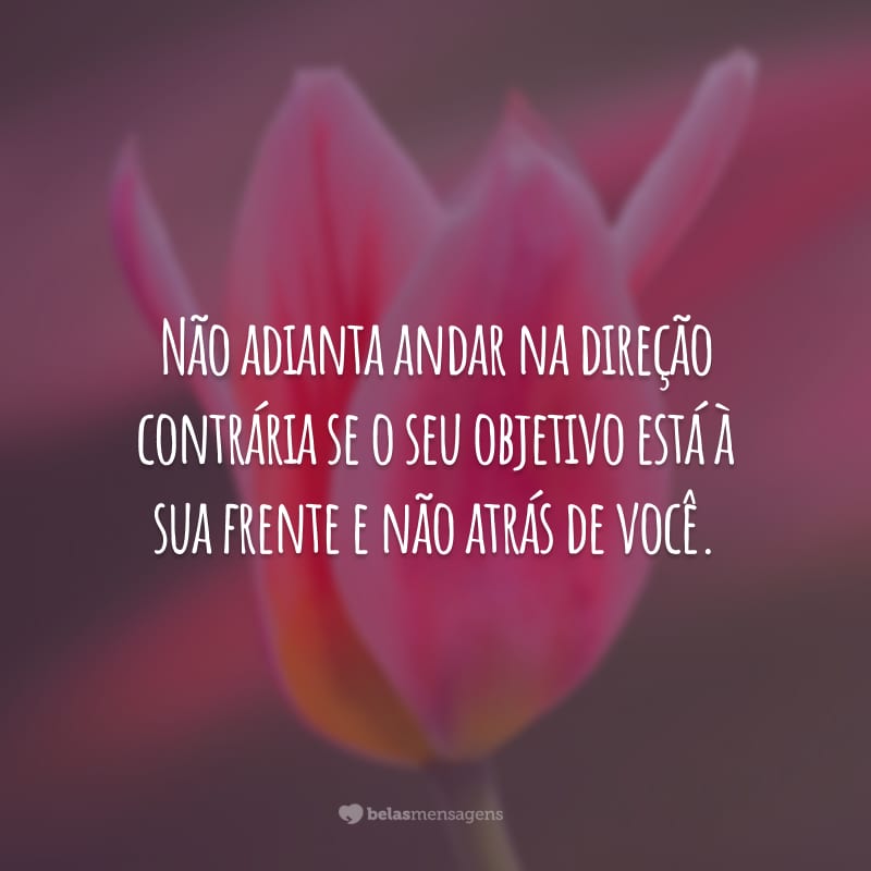 Não adianta andar na direção contrária se o seu objetivo está à sua frente e não atrás de você.