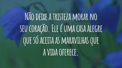 Não deixe a tristeza morar no seu coração. Ele é uma casa alegre que só aceita as maravilhas que a vida oferece.