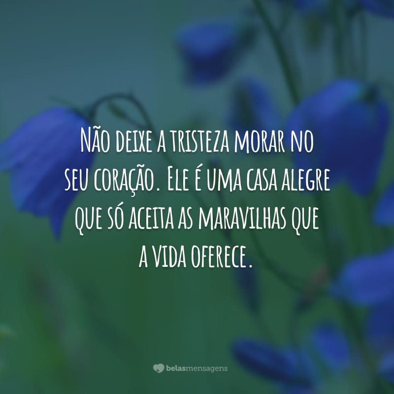 Não deixe a tristeza morar no seu coração. Ele é uma casa alegre que só aceita as maravilhas que a vida oferece.