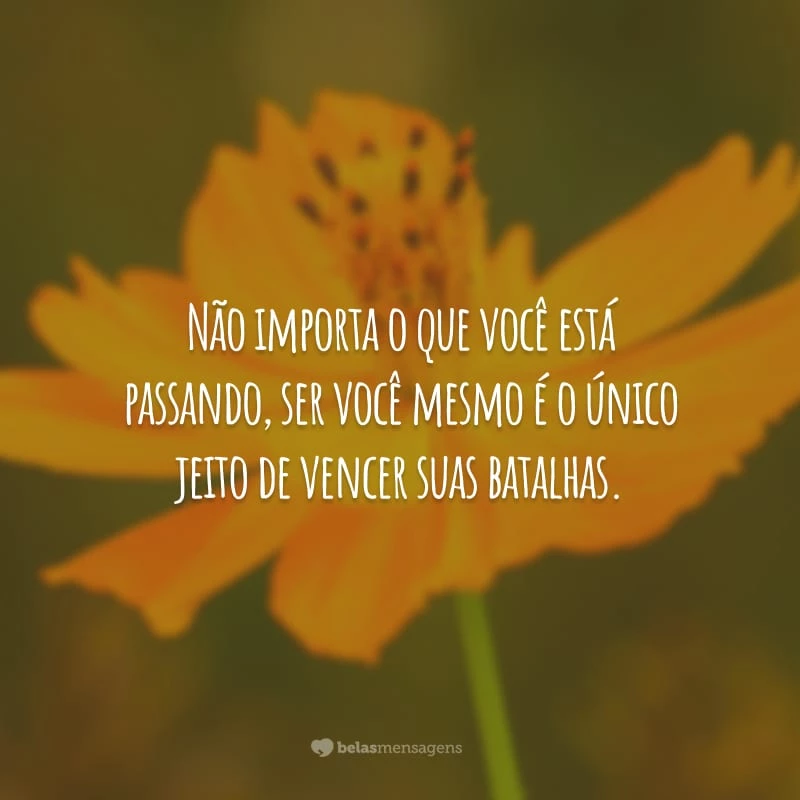 Não importa o que você está passando, ser você mesmo é o único jeito de vencer suas batalhas.