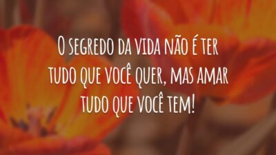 O segredo da vida não é ter tudo que você quer, mas amar tudo que você tem!