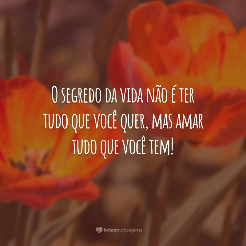 O segredo da vida não é ter tudo que você quer, mas amar tudo que você tem!