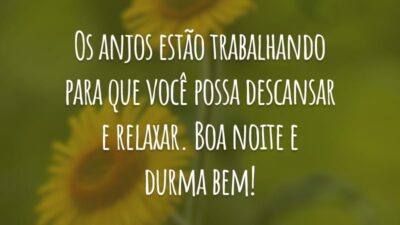 Os anjos estão trabalhando para que você possa descansar e relaxar. Boa noite e durma bem!