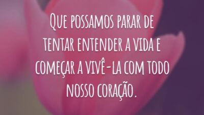 Que possamos parar de tentar entender a vida e começar a vivê-la com todo nosso coração.