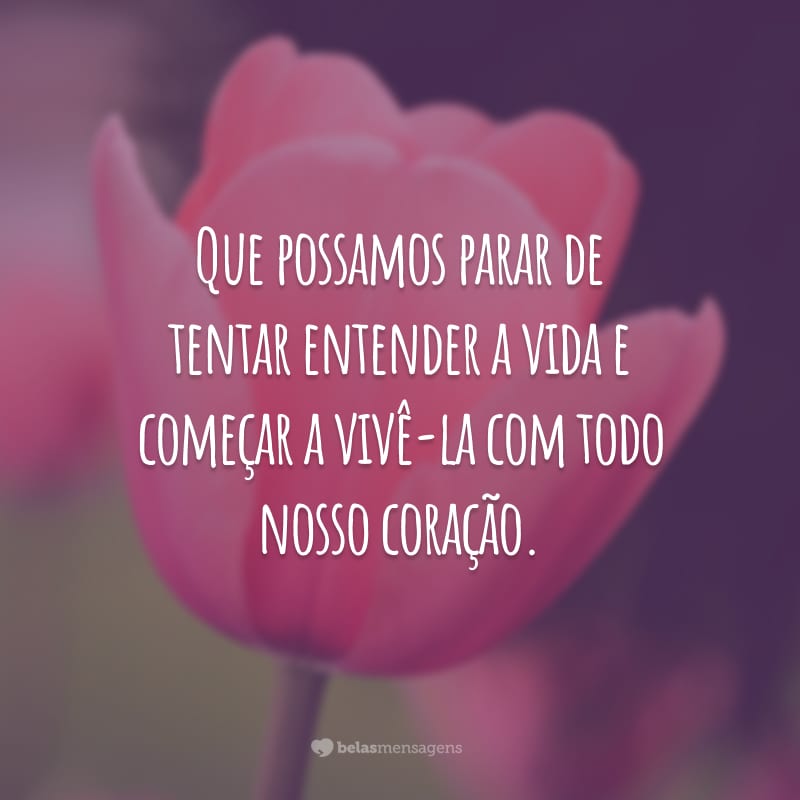 Que possamos parar de tentar entender a vida e começar a vivê-la com todo nosso coração.