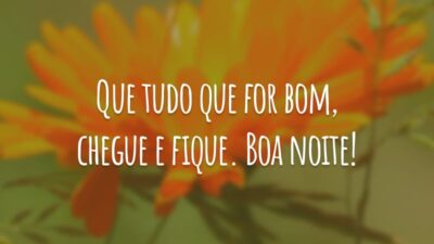 Que tudo que for bom, chegue e fique. Boa noite!