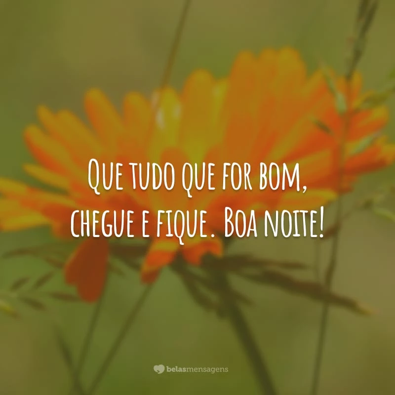 Que tudo que for bom, chegue e fique. Boa noite!