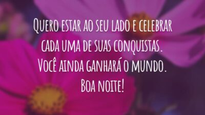 Quero estar ao seu lado e celebrar cada uma de suas conquistas. Você ainda ganhará o mundo. Boa noite!